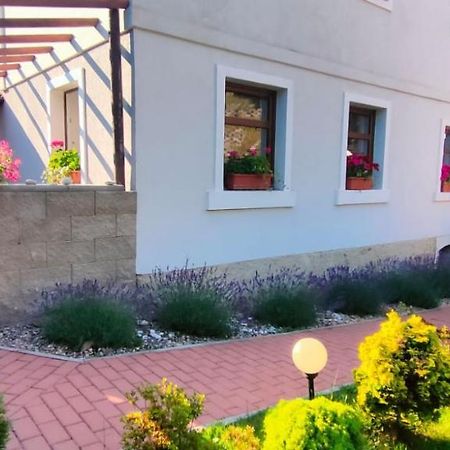 Wellness Apartman Bela Decin Luaran gambar